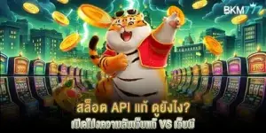 สล็อต API แท้ ดูยังไง? เปิดโปงความลับเว็บแท้ vs เว็บผี